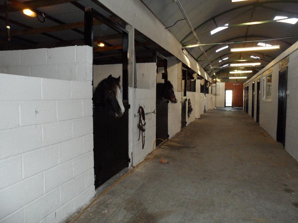 索利赫尔The Stables - Deer Park Farm住宿加早餐旅馆 客房 照片