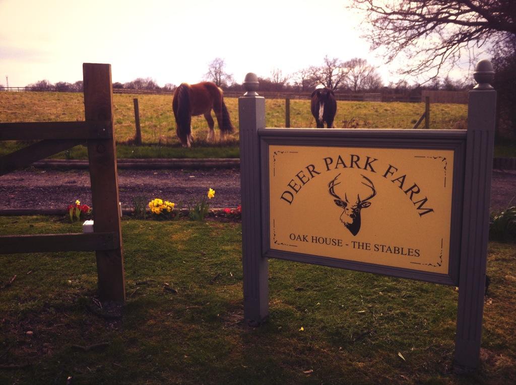 索利赫尔The Stables - Deer Park Farm住宿加早餐旅馆 客房 照片
